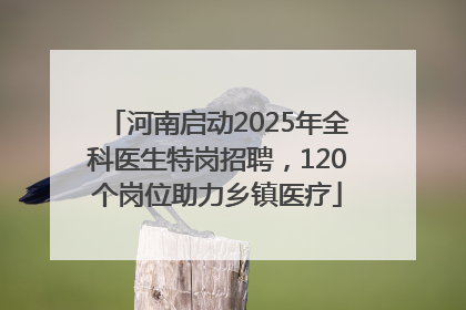 河南启动2025年全科医生特岗招聘，120个岗位助力乡镇医疗