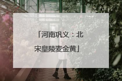 河南巩义：北宋皇陵麦金黄