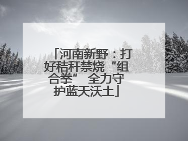 河南新野：打好秸秆禁烧“组合拳” 全力守护蓝天沃土
