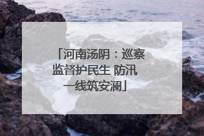 河南汤阴：巡察监督护民生 防汛一线筑安澜