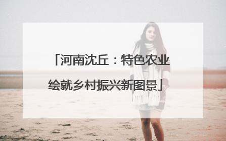 河南沈丘：特色农业绘就乡村振兴新图景