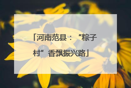 河南范县：“粽子村”香飘振兴路
