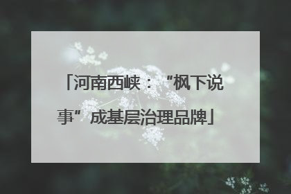 河南西峡：“枫下说事”成基层治理品牌