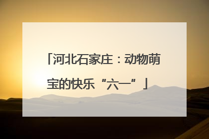 河北石家庄：动物萌宝的快乐“六一”