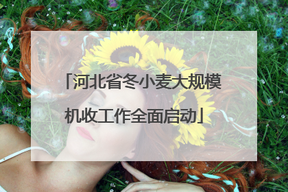 河北省冬小麦大规模机收工作全面启动