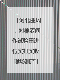 河北曲周：对棉麦间作试验田进行实打实收现场测产
