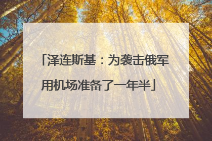 泽连斯基：为袭击俄军用机场准备了一年半