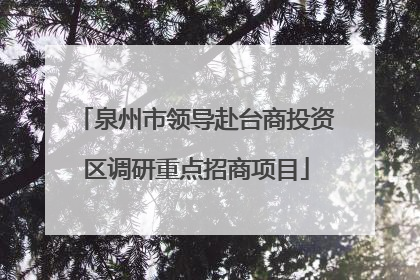 泉州市领导赴台商投资区调研重点招商项目