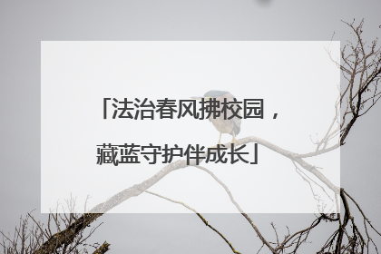 法治春风拂校园，藏蓝守护伴成长
