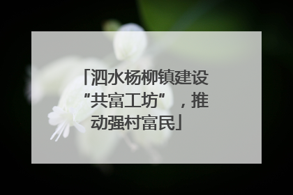 泗水杨柳镇建设“共富工坊”，推动强村富民