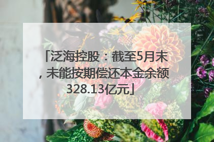 泛海控股：截至5月末，未能按期偿还本金余额328.13亿元