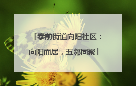 泰前街道向阳社区：向阳而居，五邻同聚