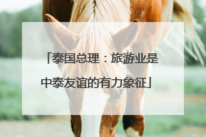 泰国总理：旅游业是中泰友谊的有力象征