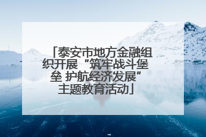 泰安市地方金融组织开展“筑牢战斗堡垒 护航经济发展”主题教育活动