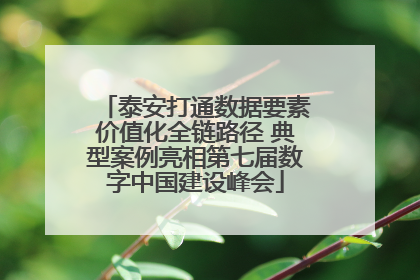 泰安打通数据要素价值化全链路径 典型案例亮相第七届数字中国建设峰会