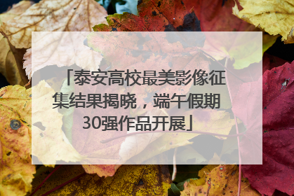 泰安高校最美影像征集结果揭晓，端午假期30强作品开展