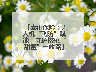 泰山保险：无人机“飞防”赋能，守护樱桃“甜蜜”丰收路