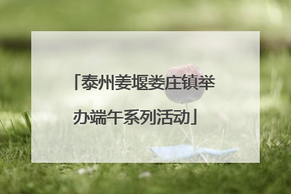 泰州姜堰娄庄镇举办端午系列活动