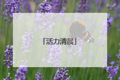活力清晨