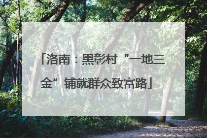 洛南：黑彰村“一地三金”铺就群众致富路