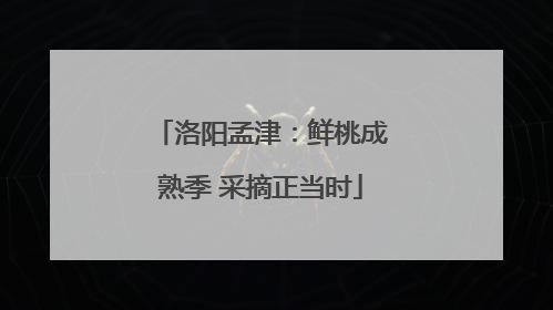 洛阳孟津：鲜桃成熟季 采摘正当时