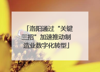 洛阳通过“关键三招”加速推动制造业数字化转型
