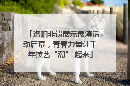 洛阳非遗展示展演活动启幕，青春力量让千年技艺“潮” 起来
