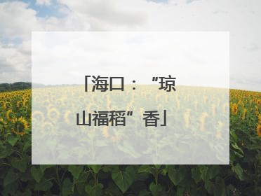 海口：“琼山福稻”香