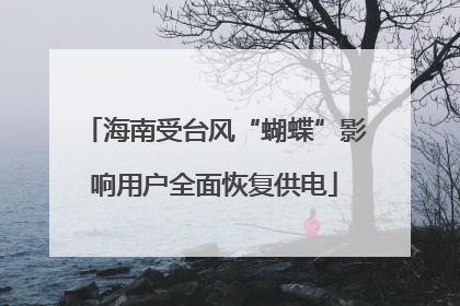 海南受台风“蝴蝶”影响用户全面恢复供电