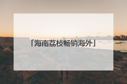 海南荔枝畅销海外