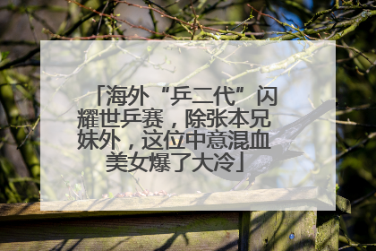 海外“乒二代”闪耀世乒赛，除张本兄妹外，这位中意混血美女爆了大冷