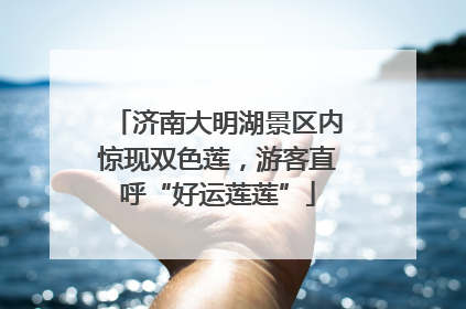 济南大明湖景区内惊现双色莲，游客直呼“好运莲莲”