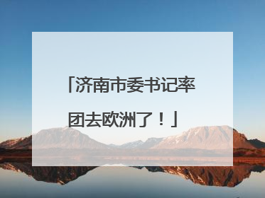 济南市委书记率团去欧洲了！