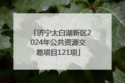 济宁太白湖新区2024年公共资源交易项目121项