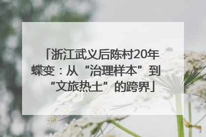 浙江武义后陈村20年蝶变：从“治理样本”到“文旅热土”的跨界