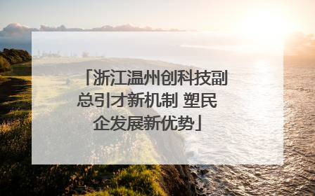 浙江温州创科技副总引才新机制 塑民企发展新优势