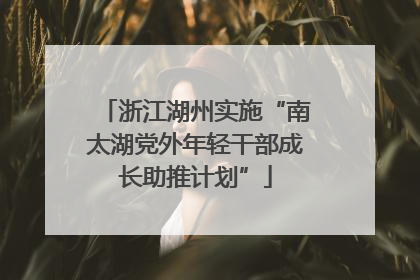 浙江湖州实施“南太湖党外年轻干部成长助推计划”