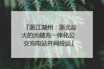 浙江湖州：浙北最大的光储充一体化公交充电站并网投运