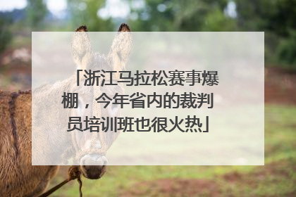 浙江马拉松赛事爆棚，今年省内的裁判员培训班也很火热