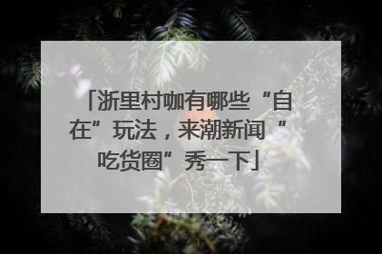 浙里村咖有哪些“自在”玩法，来潮新闻“吃货圈”秀一下
