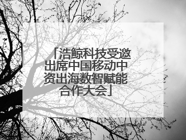 浩鲸科技受邀出席中国移动中资出海数智赋能合作大会