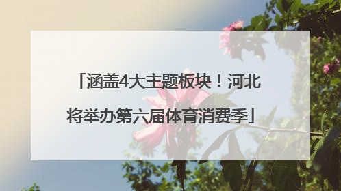涵盖4大主题板块！河北将举办第六届体育消费季