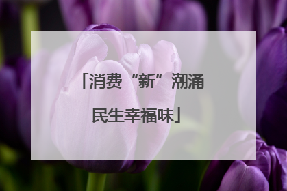 消费“新”潮涌 民生幸福味