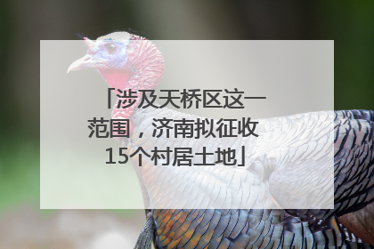 涉及天桥区这一范围，济南拟征收15个村居土地