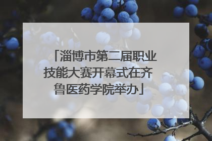 淄博市第二届职业技能大赛开幕式在齐鲁医药学院举办