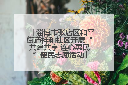 淄博市张店区和平街道祥和社区开展“共建共享 连心惠民”便民志愿活动