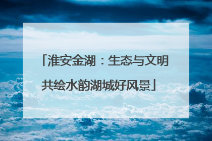 淮安金湖：生态与文明共绘水韵湖城好风景