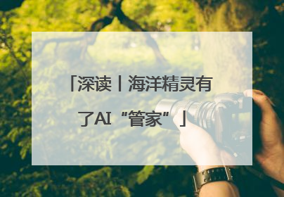 深读丨海洋精灵有了AI“管家”