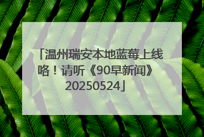 温州瑞安本地蓝莓上线咯！请听《90早新闻》20250524