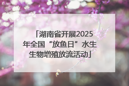 湖南省开展2025年全国“放鱼日”水生生物增殖放流活动